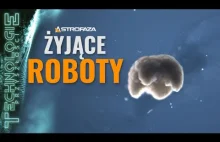 Żywe roboty to już rzeczywistość. Poznaj Xenoboty