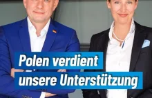 AfD wspiera Polskę Warto poczytać komentarze