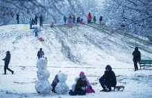 Kiedy w Polsce spadnie śnieg? "Wyż syberyjski pokaże swoją siłę"