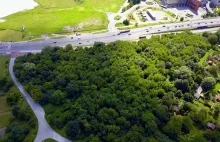 554 drzewa wycięto pod muzeum w Krakowie. „Ingerencja ograniczona do minimum”