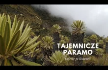 Kolumbijskie paramo - wyspy w chmurach