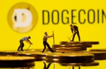Shiba Inu, Dogecoin - czyli jak się zostaje milionerem Przez Investing.com