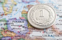 Czy polskie firmy powinny się bać Polskiego Ładu? - Magazyn Fakty
