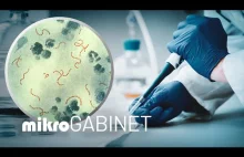 Ukryte funkcje białek, czyli "moonlighting" u bakterii | mikroGABINET
