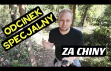 ILE MAM KASY Z YOUTUBE ? Zrzutka i mój Patronite !