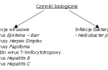 Wpływ niektórych wirusów i bakterii na powstawanie nowotworów