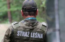 Straż Leśna wsparciem dla polskich służb na granicy