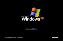 Nawet Windows XP jest wciąż popularniejszy niż Windows 11