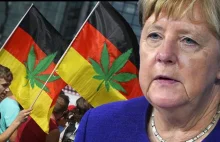 Niemcy potwierdzają legalizację konopii w niedalekiej przyszłości.