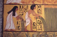 Chleb, piwo i hipopotamy, czyli co jedli starożytni Egipcjanie?