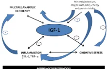 Podstępny hormon IGF-I