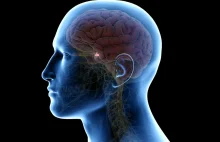 Gruczolak przysadki mózgowej – objawy, przyczyny rozwoju i leczenie