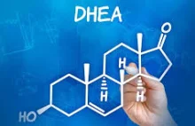 Dehydroepiandrosteron (DHEA) w mechanizmach stresu i depresji