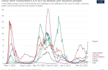 Sytuacja epidemiologicza w Polsce. List dr Knuta Wittkowskiego z Nowego Jorku