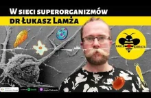 W sieci superorganizmów - dr @Lukasz Lamza