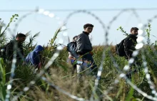 Niemiecki dziennikarz pomagał imigrantom nielegalnie przekroczyć granicę