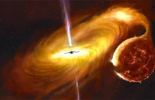 Obserwacja zwichrowanego dysku akrecyjnego wokół czarnej dziury