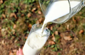 Eksport polskiego mleka do Chin w 2026 roku wyniesie miliard złotych!