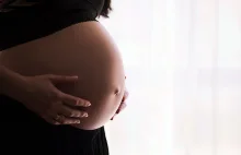 Brejza: rząd chce wprowadzić rejestrację ciąż