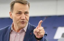 Sikorski w lutym o Gowinie: Gowin jest jak Lepper w 2007 za rządów PiS