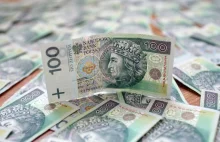 Duży spadek wartości polskiej waluty. Media: złoty najsłabszy w historii