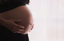 Donald Tusk o rejestrze ciąż: wygląda to wszystko trochę jak z upiornego horroru