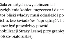 Skandaliczny artykuł "Wyborczej". Lasy Państwowe: Hańba dziennikarstwa