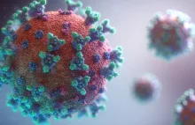 Wykryto nowy wariant wirusa. Naukowcy ostrzegają przed kolejną pandemią