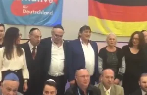 Przed Państwem niemiecka prawicowa partia AFD