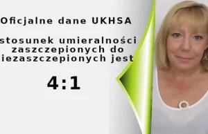 Oficjalne dane UKHSA - stosunek umieralności zaczepionych do niezaczepionych