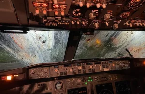 Boeing 737 przy lądowaniu wleciał w stado ptaków