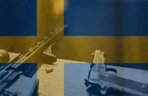 ANALIZA: bez imigrantów przestępczość w Szwecji zmalałaby dramatycznie