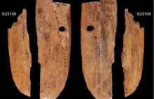 Czy w Jaskini Stajnia odkryto jedną z najstarszych ozdób w Eurazji?