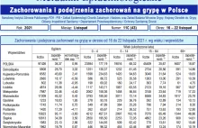 Grypa wróciła! 96tys. w 7 dni w okresie od 16 do 22 listopada w Polsce! GOV.PL