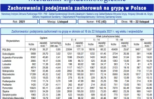 Grypa wróciła! 96tys. w 7 dni w okresie od 16 do 22 listopada w Polsce! GOV.PL