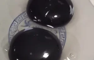 Dziwna chińska gęś znosi jajka z czarnymi żółtkami