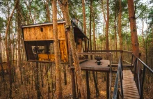 Deer House – domek na drzewie pięć metrów nad ziemią