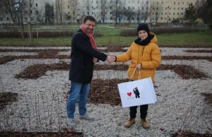 Na Ursynowie powstał labirynt z żywopłotu. "To pomysł 10-letniego Krzysztofa".