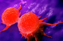 Odkryto "wyłącznik" przerzutów - przełom w walce z nowotworami