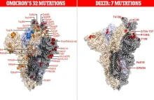 Porównanie Omikronu z wersją Delta COVID - szokujący obraz mutacji