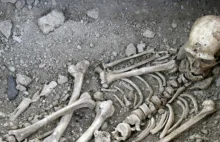 Szkielet neandertalczyka ze śladami choroby odzwierzęcej.