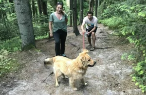 Lubelskie. Myśliwy zastrzelił psa na oczach właściciela [drastyczne...