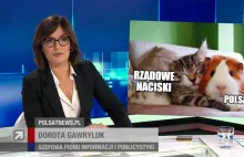 Duży odpływ dziennikarzy z Polsatu, żalą się na naciski polityczne