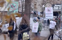 Niemcy: Dilerzy protestują przeciwko legalizacji [VIDEO] | | Świat...
