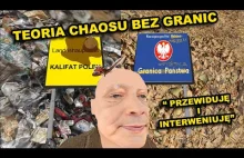 TEORIA CHAOSU BEZ GRANIC