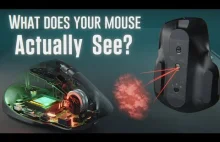Jak działa współczesna mysz komputerowa.
