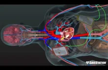 AED in Action | A 3D look inside the body