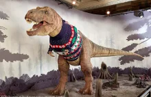 Sweterek na święta dla dinozaura ⋆ Nauka angielskiego ze ⋆