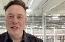Musk stwierdził, że CEO to tytuł zmyślony i że wiele tytułów „nic nie znaczy”.