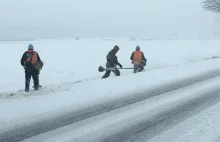 Przodownicy pracy kosili trawę w śniegu. Ciekawe, czy wygrabili też liście